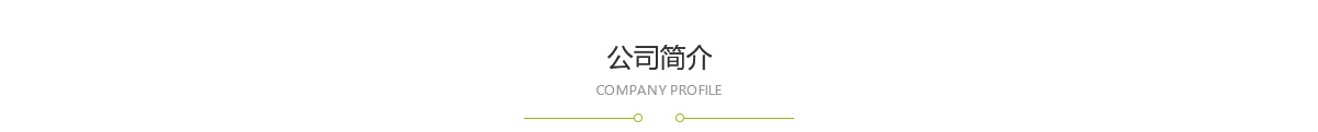 集團(tuán)概況