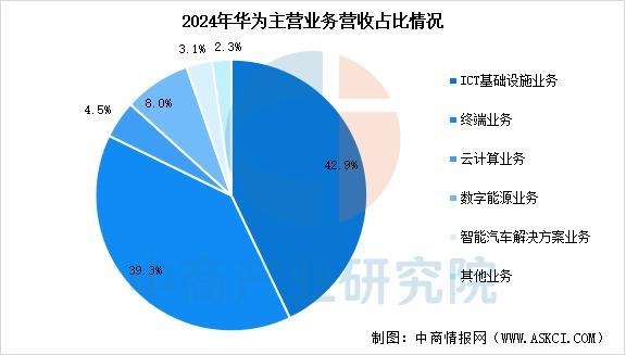 2025年中國智能穿戴設(shè)備行業(yè)市場前景預(yù)測研究（簡版）(圖13)